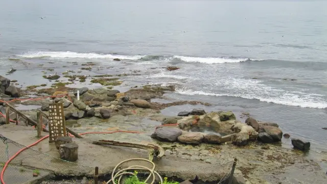 知床半島羅臼にある温泉観光名所♪