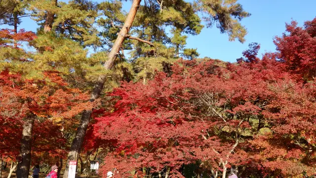 【埼玉県】秩父・長瀞でおなかいっぱい女子旅!😋