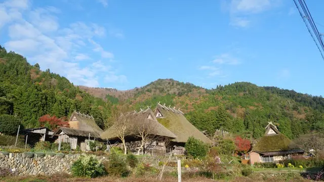 【京都】大人な京都グルメ食べ尽くし旅🦌