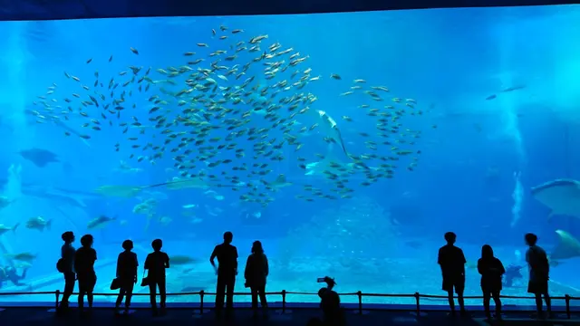 沖縄旅行【雨の日でも楽しむ本部半島プラン】