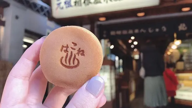 【一泊二日】自然とアートに癒される!箱根大満喫プラン♨️