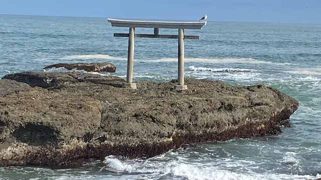 偕楽園とアンコウ日帰りツアー