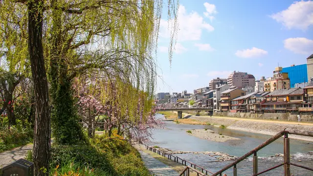大満喫✈️京都旅