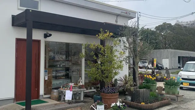 ランチがてらお花見🌸