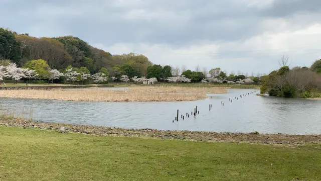 里山の春