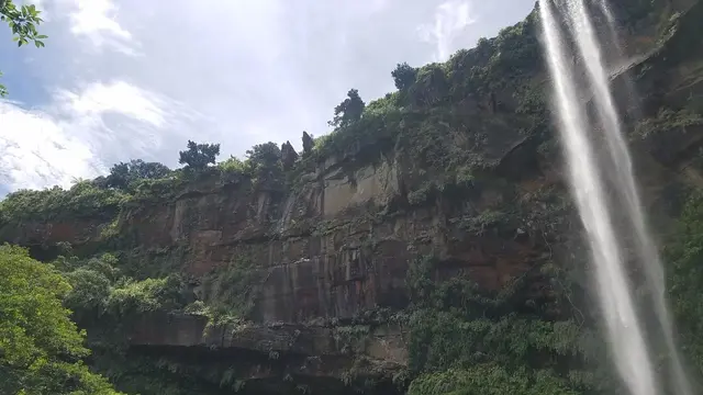 【西表島】ピナイサーラは絶対🙊