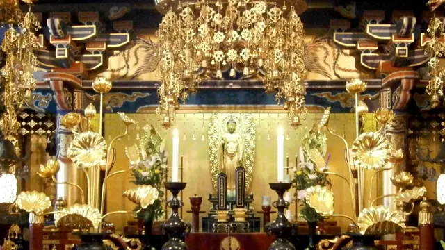 イベント鑑賞