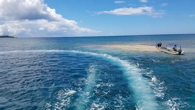 【西表島】バラス島へ🏖由布島も紹介♪