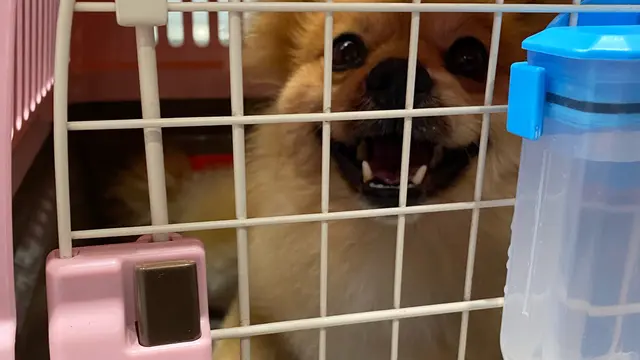 沖縄ﾏﾛﾝU´•ﻌ•`Uと御用事ですが、ちょとだけ行きたたかった場所へ。6月編10泊