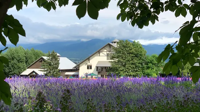【1泊2日】星が綺麗なキャンプ場に泊まる🏕ラベンダーの町・富良野へ