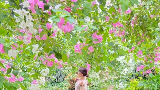 【宮古島】雨でも楽しめるっ／観光・グルメ・お土産も❣️