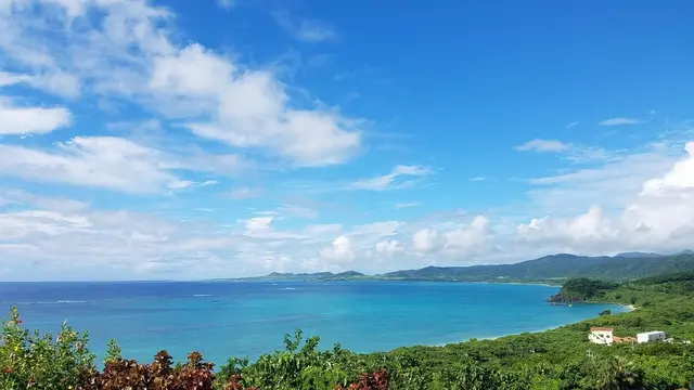 【石垣島】マンタに会いに行こう❣️
