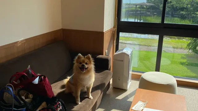 琵琶湖長浜 ﾏﾛﾝU´•ﻌ•`Uと散策1泊2日7月編