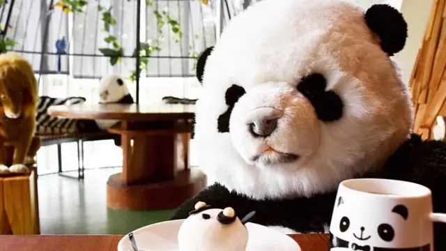 《台湾•台北編》可愛いパンダに癒されよう🐼CAと巡る台北1泊2日旅!