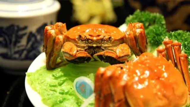 《中国・上海編》食欲の秋に上海蟹を食べに行こう🦀CAと巡る上海1泊2日旅!