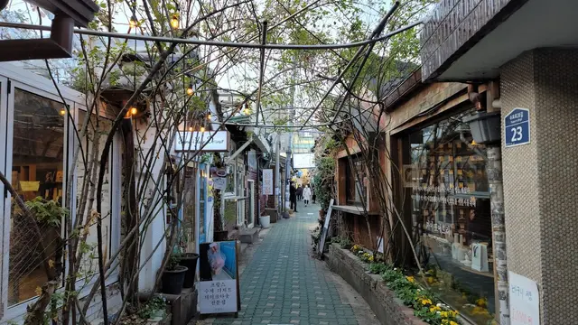 ソウル🇰🇷3日目(2023/11/24)