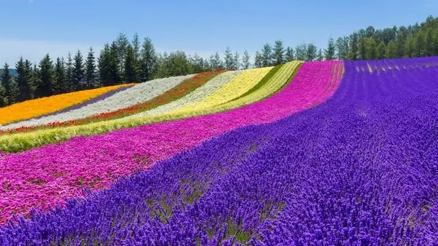 走れジムニー！最後まで！札幌〜旭川周遊