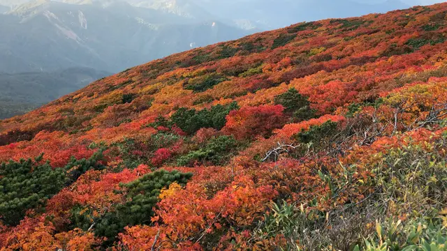 【宮城】シーズン到来!紅葉の名所🍁栗駒山を訪れる1泊2日