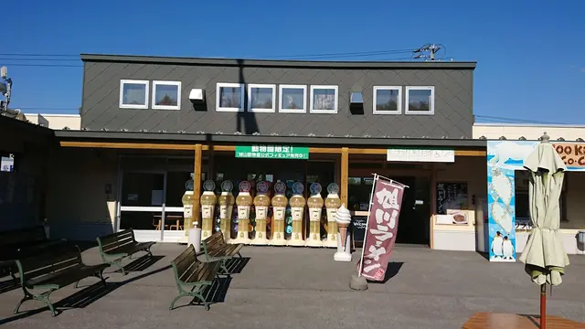 旭川定番プラン