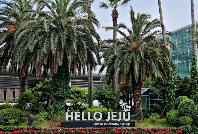 韓国人の済州（JEJU）健康的なプラン