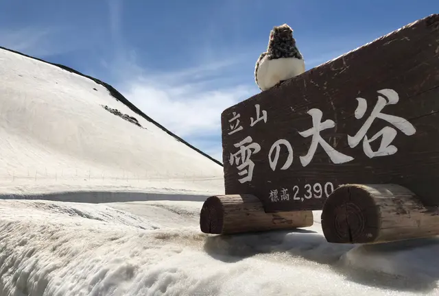 1泊2日で黒部立山アルペンルートと黒部渓谷トロッコ列車を楽しむ弾丸旅❣️