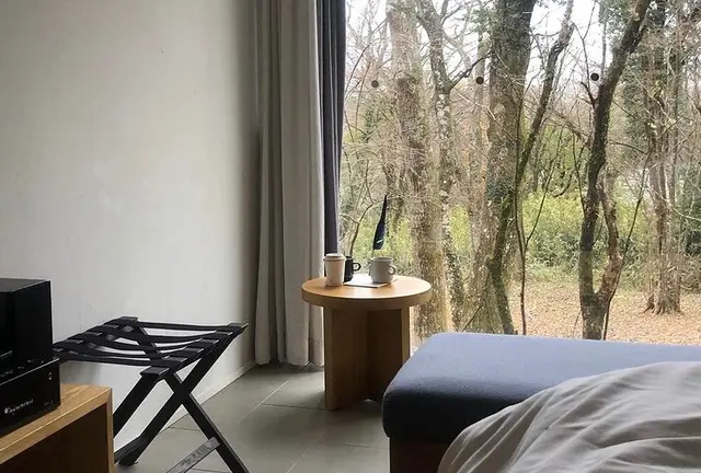 【箱根】温泉とアートでゆったりリフレッシュ旅行🚙