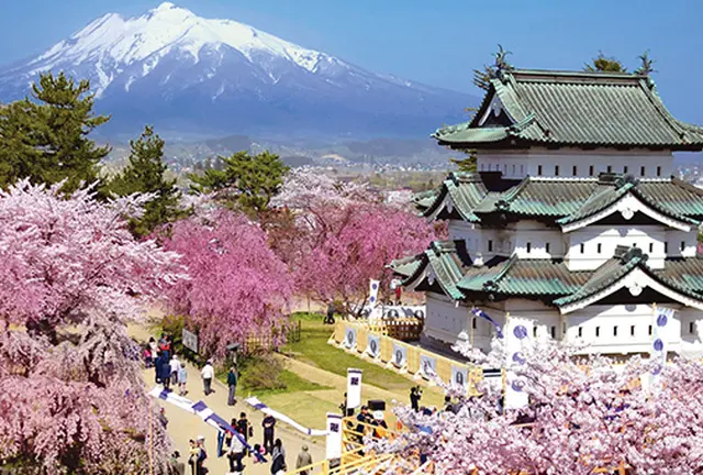 弘前城と桜と岩木山。春の青森旅行2023。