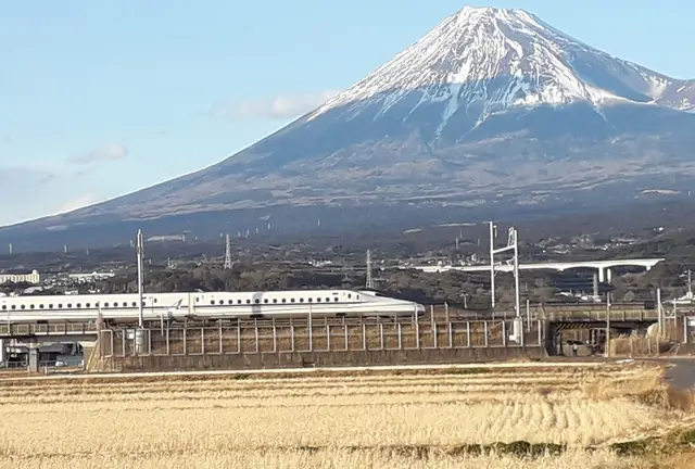 春の静岡旅　新幹線と富士山を鑑賞　そして富士宮焼きそばをいただきました。