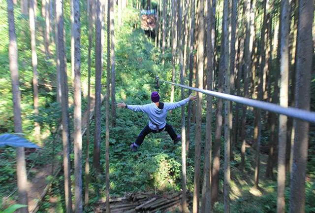 小田原から湘南、1日フル活用コース