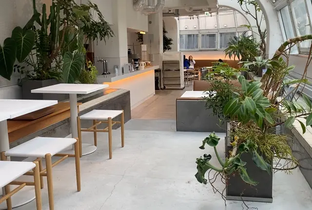【広島】お洒落な映えカフェ3店舗巡ってきたよ☕️🧡モーニングも☀️