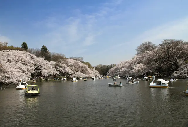 井の頭公園