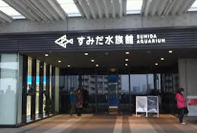 水族館好きにおススメ