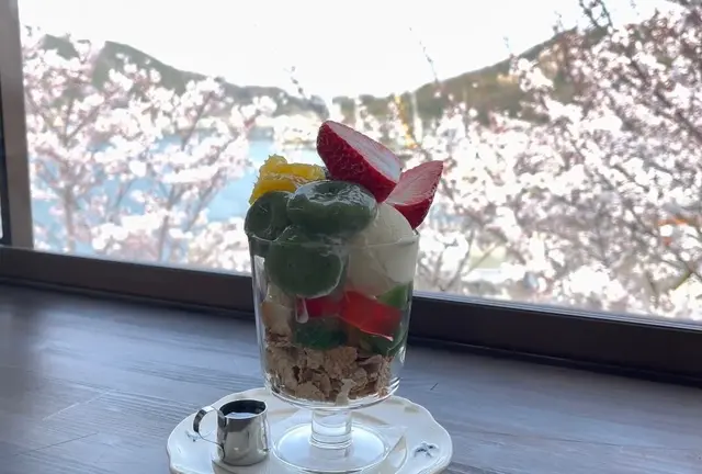 【広島県】春の尾道を散歩しながら桜スポット巡り🌸絶景とグルメを満喫する1日✨