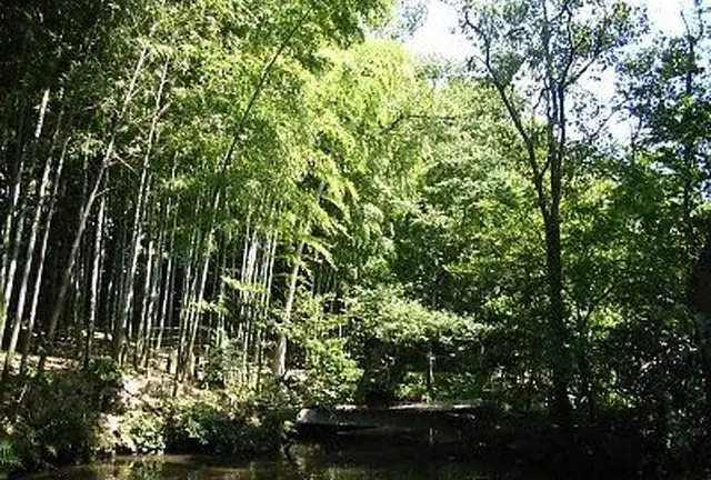 都内唯一のヒカリモ見学＆絶品かき氷☆仙川で暑い夏を楽しもう！