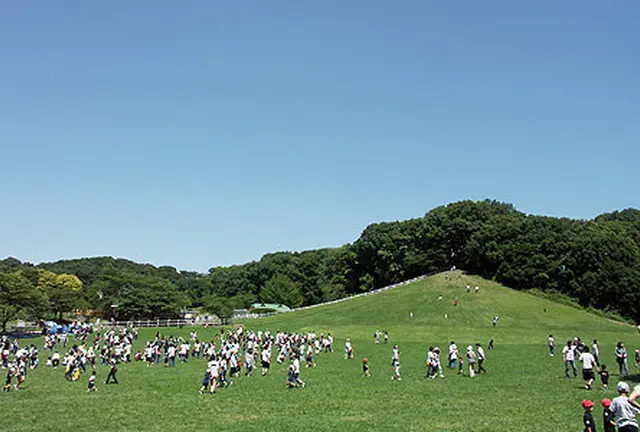 こどもの国っていう王国をご存知ですか？