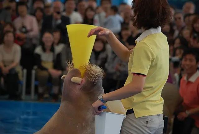 大人も楽しめる鳥羽水族館へドライブ！