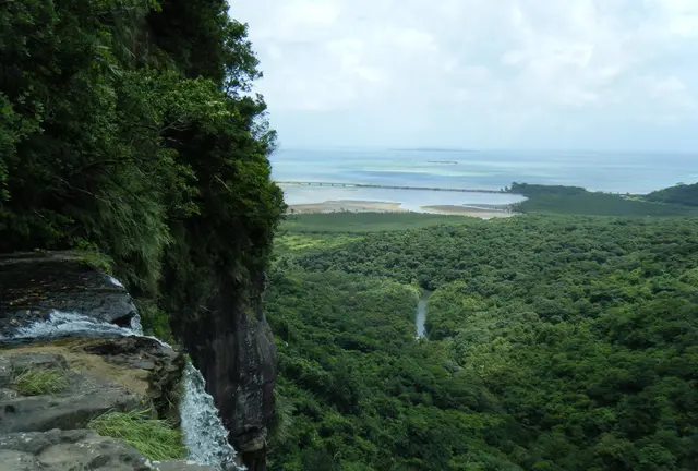 美ら島記録　西表島編