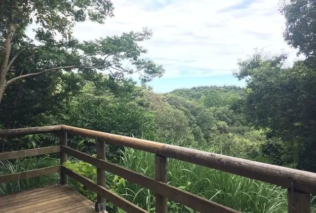 都心からたった３０分。青い空の下、子供を野原で駆け巡らせよう！！