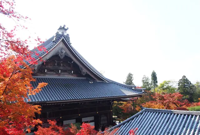 世界観光都市ランキング1位！秋の京都で本気で紅葉狩りしてみました！写真から感じてください♪