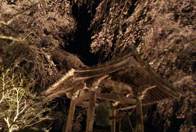 いにしえの桜に浮かぶ五ヶ瀬町