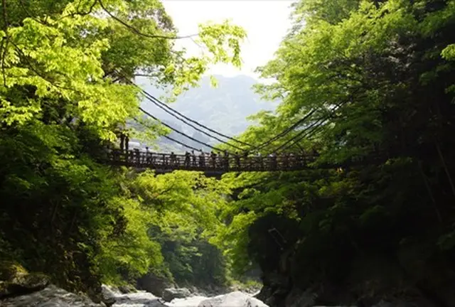 秘境と呼ばれる山間の地を楽しむ。平家落人伝説の残る「祖谷のかずら橋」、断崖に立つ「小便小僧」。