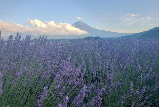 日帰り🗻山梨🍇ドライブ🚗💨