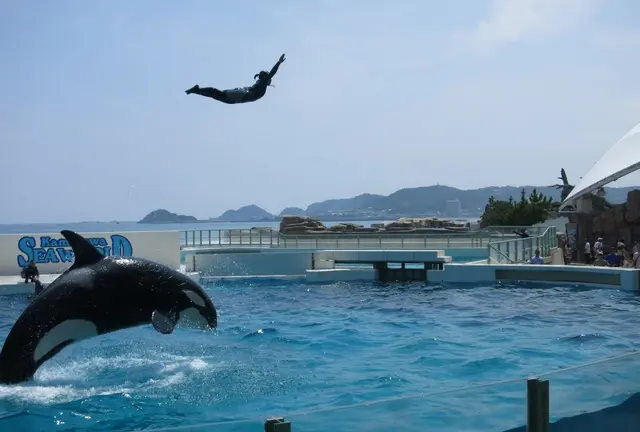 鴨川シーワールドへ向けて！南房総、海沿いドライブ！