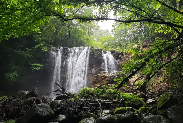 栃木ドライブ🥟那須高原⛰️