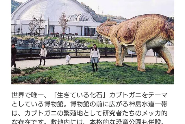 岡山離島ゴリきのこ旅
