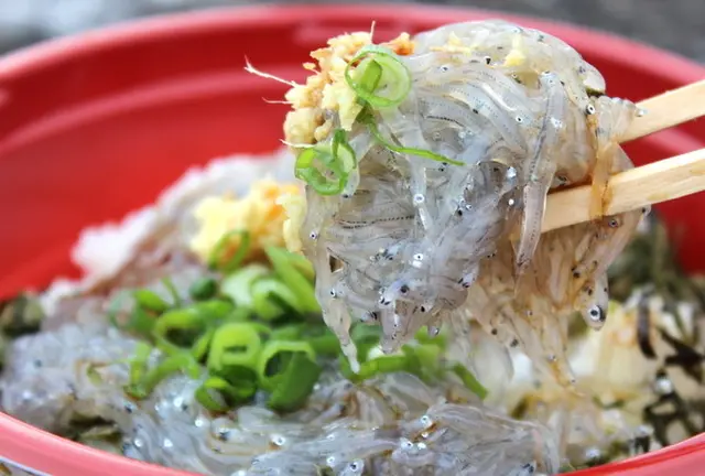 食欲の秋、いざ鎌倉！