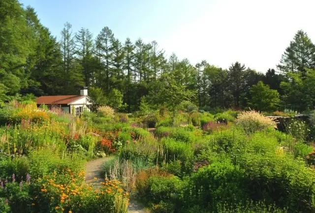 富良野～旭川にて草花を楽しむ庭園観光