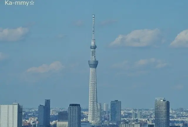 東京二大鉄塔を眺める！江戸まち散策とお台場エリア♪