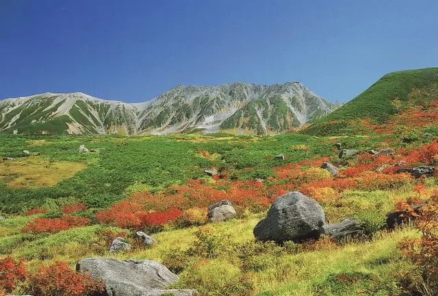立山黒部アルペンルートで北アルプスの秋を存分に楽しもう！