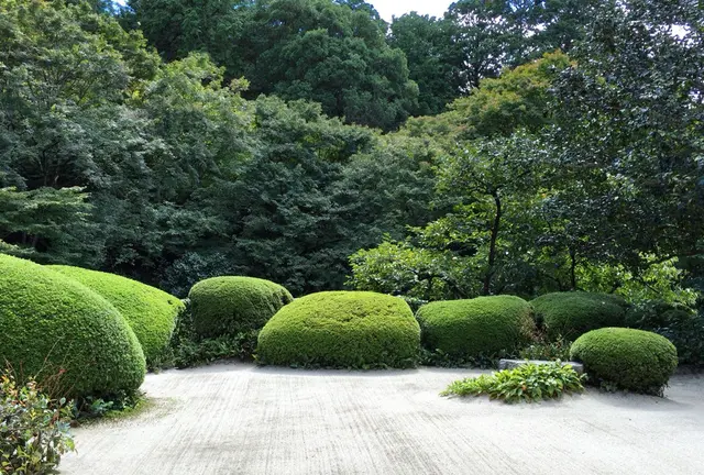 読書好きに！京都下鴨〜一乗寺の街歩き